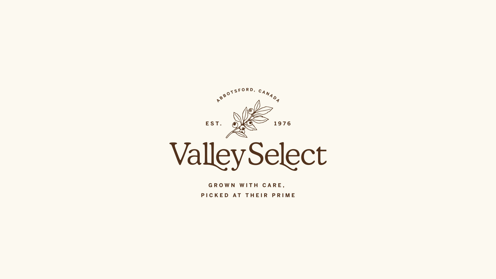 Valley Select—Branding & Photography